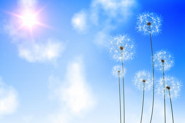 digitally-generated-dandelions-against-blue-sky_13339-30669